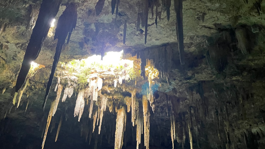 Cenotes y Ríos Subterráneos